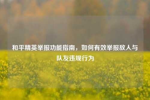 和平精英举报功能指南，如何有效举报敌人与队友违规行为