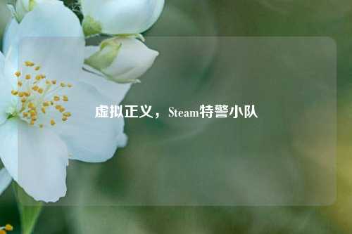 虚拟正义，Steam特警小队