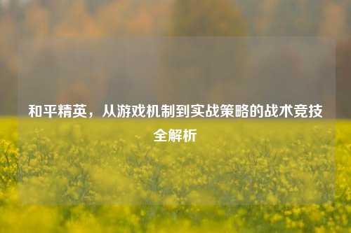 和平精英，从游戏机制到实战策略的战术竞技全解析