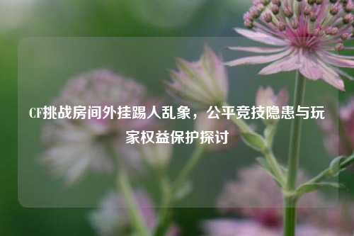 CF挑战房间外挂踢人乱象，公平竞技隐患与玩家权益保护探讨