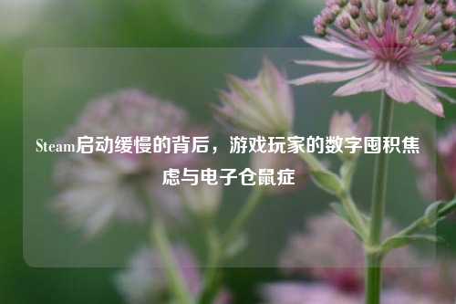 Steam启动缓慢的背后，游戏玩家的数字囤积焦虑与电子仓鼠症