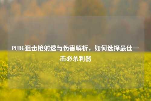 PUBG狙击枪射速与伤害解析，如何选择最佳一击必杀利器