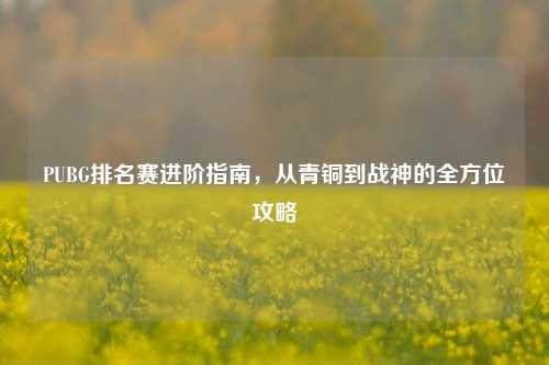 PUBG排名赛进阶指南，从青铜到战神的全方位攻略