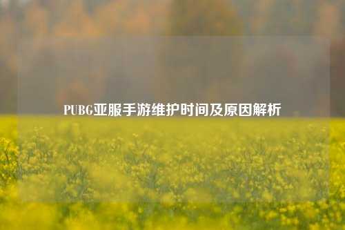 PUBG亚服手游维护时间及原因解析