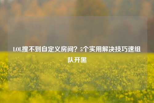 LOL搜不到自定义房间？5个实用解决技巧速组队开黑