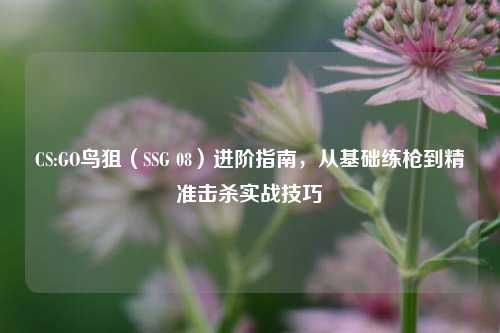 CS:GO鸟狙（SSG 08）进阶指南，从基础练枪到精准击杀实战技巧