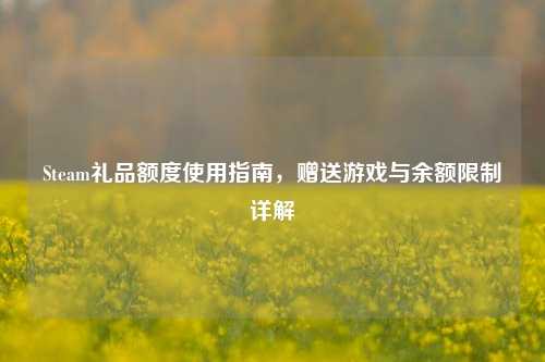 Steam礼品额度使用指南，赠送游戏与余额限制详解