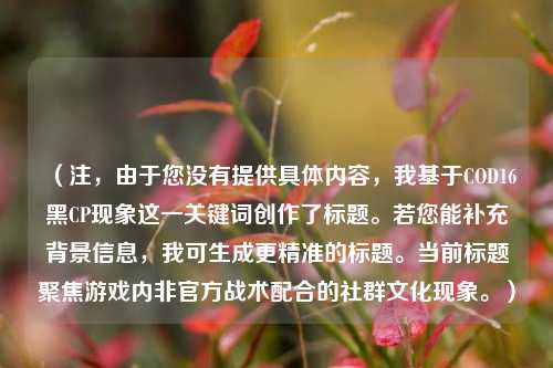 （注，由于您没有提供具体内容，我基于COD16黑CP现象这一关键词创作了标题。若您能补充背景信息，我可生成更精准的标题。当前标题聚焦游戏内非官方战术配合的社群文化现象。）