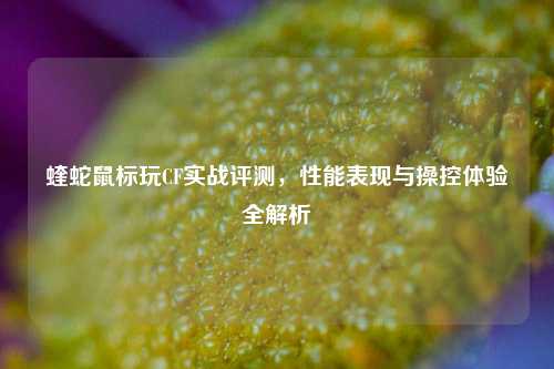 蝰蛇鼠标玩CF实战评测，性能表现与操控体验全解析