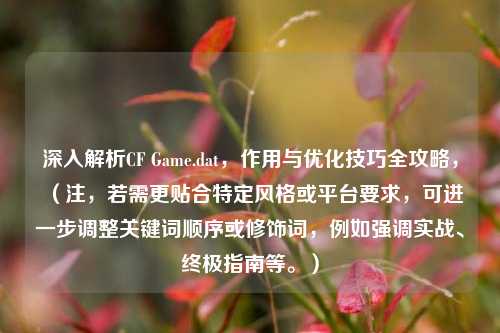 深入解析CF Game.dat，作用与优化技巧全攻略，（注，若需更贴合特定风格或平台要求，可进一步调整关键词顺序或修饰词，例如强调实战、终极指南等。）