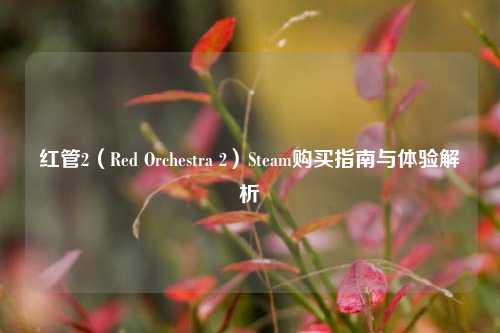 红管2（Red Orchestra 2）Steam购买指南与体验解析