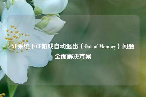 XP系统下CF游戏自动退出（Out of Memory）问题全面解决方案