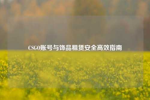CSGO账号与饰品租赁安全高效指南