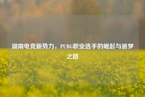 湖南电竞新势力，PUBG职业选手的崛起与追梦之路