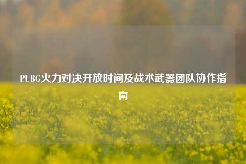 PUBG火力对决开放时间及战术武器团队协作指南