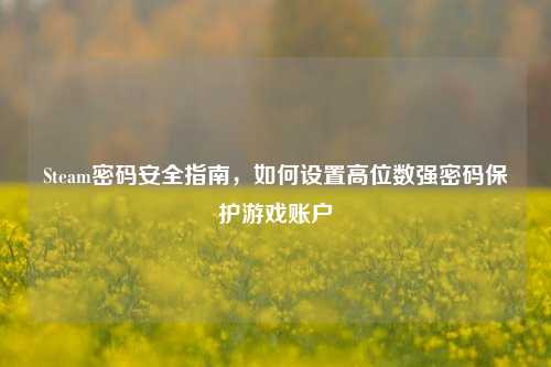 Steam密码安全指南，如何设置高位数强密码保护游戏账户