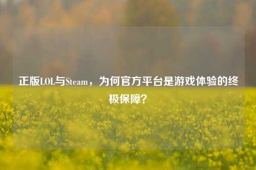 正版LOL与Steam，为何官方平台是游戏体验的终极保障？