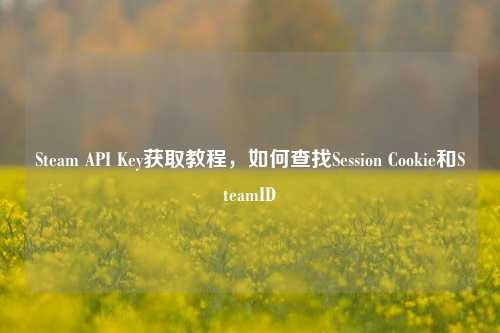 Steam API Key获取教程，如何查找Session Cookie和SteamID