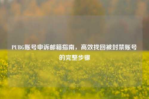PUBG账号申诉邮箱指南，高效找回被封禁账号的完整步骤