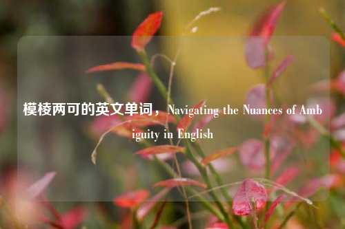 模棱两可的英文单词，Navigating the Nuances of Ambiguity in English