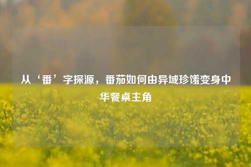 从‘番’字探源，番茄如何由异域珍馐变身中华餐桌主角