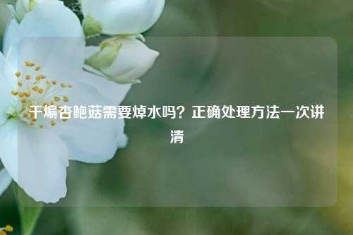 干煸杏鲍菇需要焯水吗？正确处理方法一次讲清