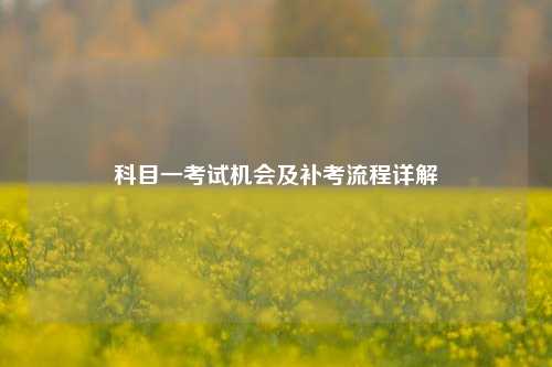 科目一考试机会及补考流程详解