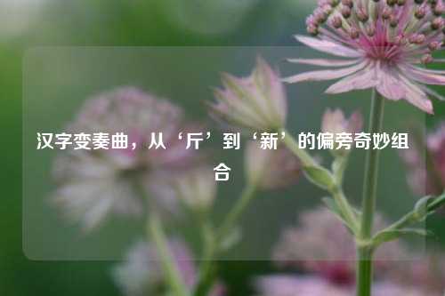 汉字变奏曲，从‘斤’到‘新’的偏旁奇妙组合