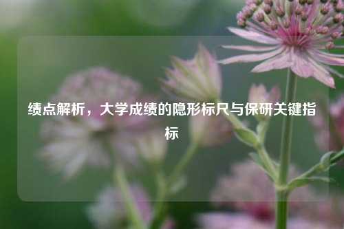 绩点解析，大学成绩的隐形标尺与保研关键指标