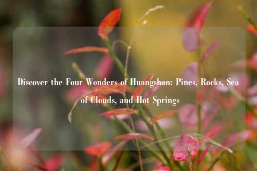 Discover the Four Wonders of Huangshan: Pines, Rocks, Sea of Clouds, and Hot Springs