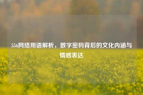 556网络用语解析，数字密码背后的文化内涵与情感表达