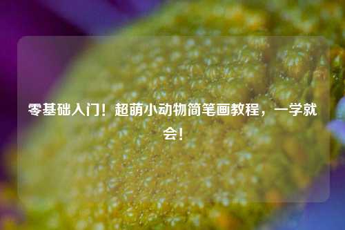 零基础入门！超萌小动物简笔画教程，一学就会！