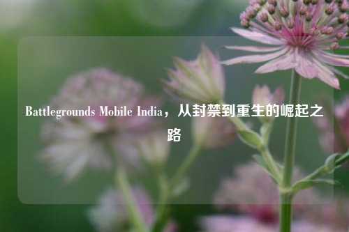 Battlegrounds Mobile India，从封禁到重生的崛起之路