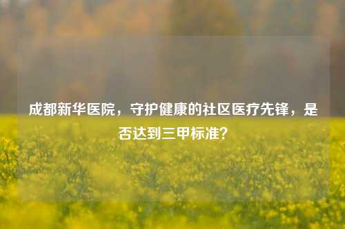 成都新华医院，守护健康的社区医疗先锋，是否达到三甲标准？