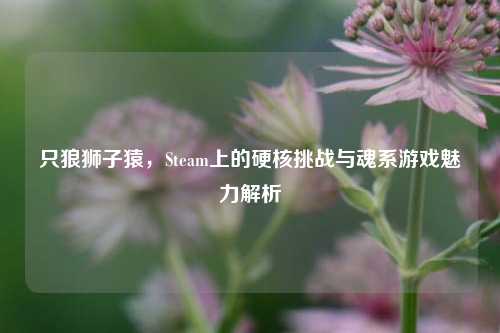 只狼狮子猿，Steam上的硬核挑战与魂系游戏魅力解析