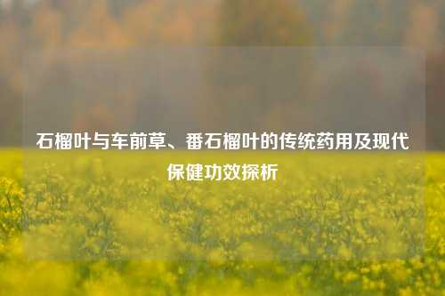 石榴叶与车前草、番石榴叶的传统药用及现代保健功效探析