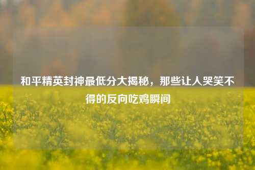 和平精英封神最低分大揭秘，那些让人哭笑不得的反向吃鸡瞬间