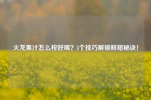 火龙果汁怎么榨好喝？5个技巧解锁鲜甜秘诀！