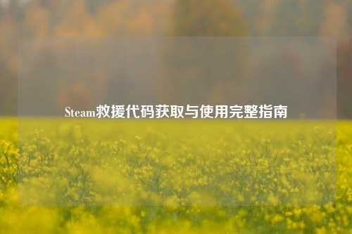 Steam救援代码获取与使用完整指南
