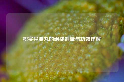枳实导滞丸的组成剂量与功效详解