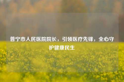 普宁市人民医院院长，引领医疗先锋，全心守护健康民生