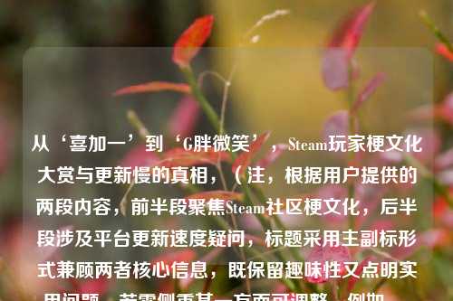 从‘喜加一’到‘G胖微笑’，Steam玩家梗文化大赏与更新慢的真相，（注，根据用户提供的两段内容，前半段聚焦Steam社区梗文化，后半段涉及平台更新速度疑问，标题采用主副标形式兼顾两者核心信息，既保留趣味性又点明实用问题。若需侧重某一方面可调整，例如，，纯梗文化向——Steam玩家狂欢密码，从喜加一到G胖微笑的爆梗进化史，纯技术向——Steam更新速度之谜，是技术限制还是G胖的微笑在拖延？）