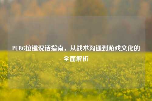 PUBG按键说话指南，从战术沟通到游戏文化的全面解析