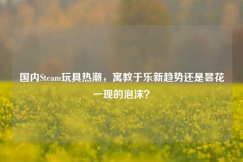 国内Steam玩具热潮，寓教于乐新趋势还是昙花一现的泡沫？