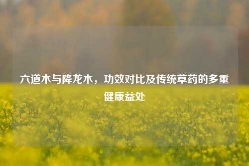 六道木与降龙木，功效对比及传统草药的多重健康益处