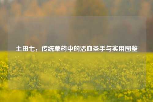 土田七，传统草药中的活血圣手与实用图鉴