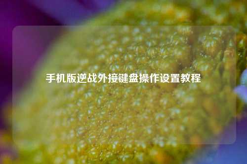 手机版逆战外接键盘操作设置教程